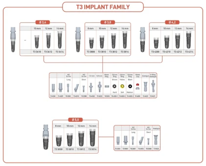 T3 (5.0)