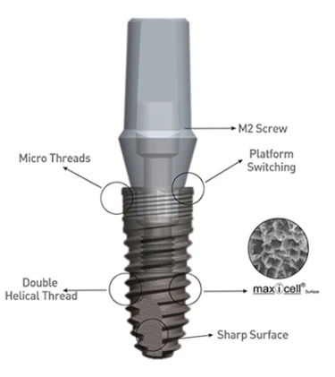 T4 (6.0)