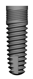 T4 (4.8)