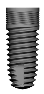 T4 (6.0)
