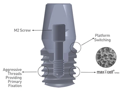 T5 (5.8)