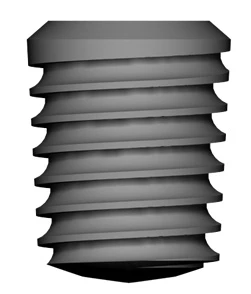 T5 (5.8)