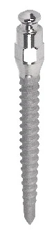 Ergon- mini implant