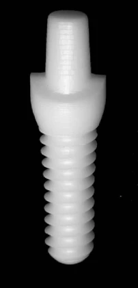 CeraRoot 21