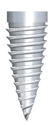 Maxi Z (5.5)