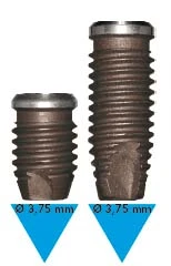Physioplant Linea Standard (3.75)