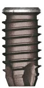 Physioplant Linea XL (5.0)