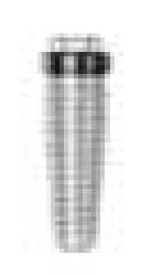 Re-Root MD (4.3)