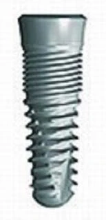 Smiler Cone
