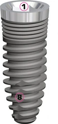 EVL Konik 3.3 (3.8)