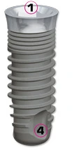 EVL S 3.3 (3.8)