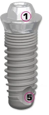 EVL Compact