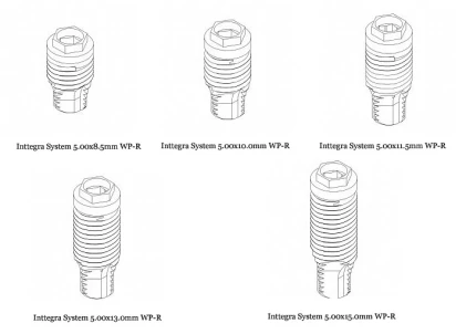 Inttegra System WP-R (5.0)
