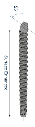 Zygomatic 55 deg. (4.05)