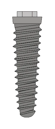 IBT/IBTi (4.07)