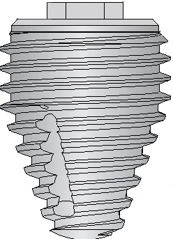 Max 7 (5.0)
