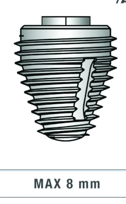 Max 8 (6.5)