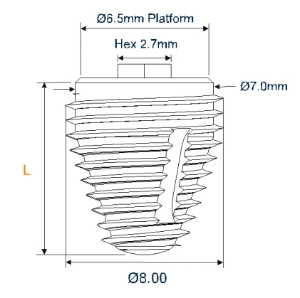 Max 8 (6.5)
