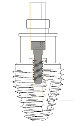 Max 8 (6.5)