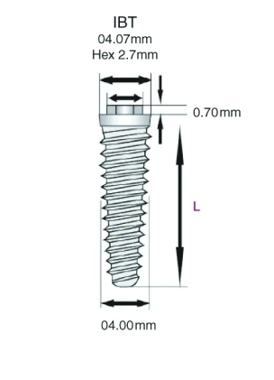 IBT/IBTi (4.07)