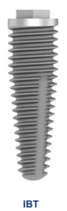 IBT/IBTi (4.07)