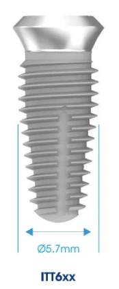ITT 6 (6.5)