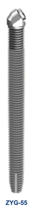 ZYG-55
