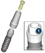 Standard Plus (NN)