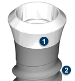 Standard Plus (RN)