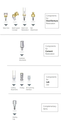 Components: Internal Three Leg Fit 4.3mm (Nobel Biocare, Replace Select, Tri-lob)