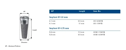 Endopore Hybrid Internal Hex (4.1)