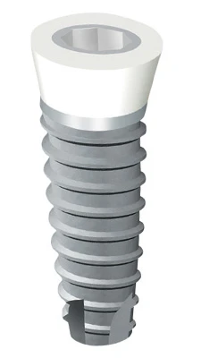 Z1 Conic (6.0)