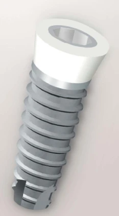 Z1 Conic (6.0)