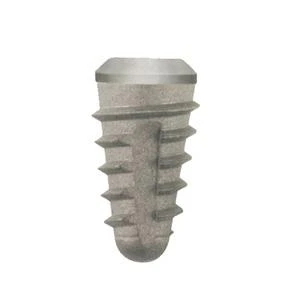 Conical Extra Large
