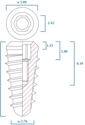 Conical Extra Large