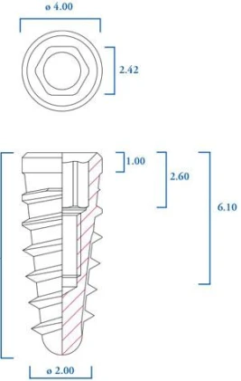 Conical Short Neck