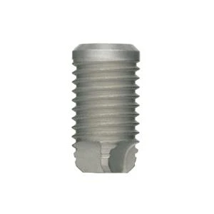 Cylindrical Large