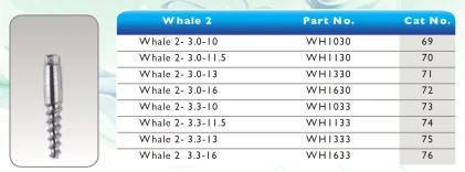 Whale 2