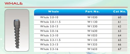 Whale
