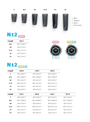 NT2 (Mini)