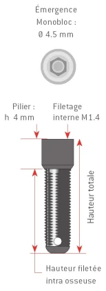 Structure Monobloc M4